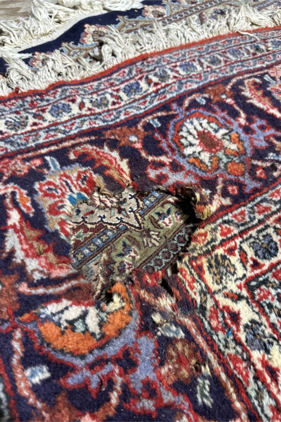 Before re-weaving: a hole worn through the field and border of a hand-knotted Persian rug